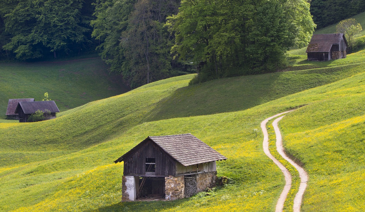 How to Build a Wooden Garden Shed: A Guide